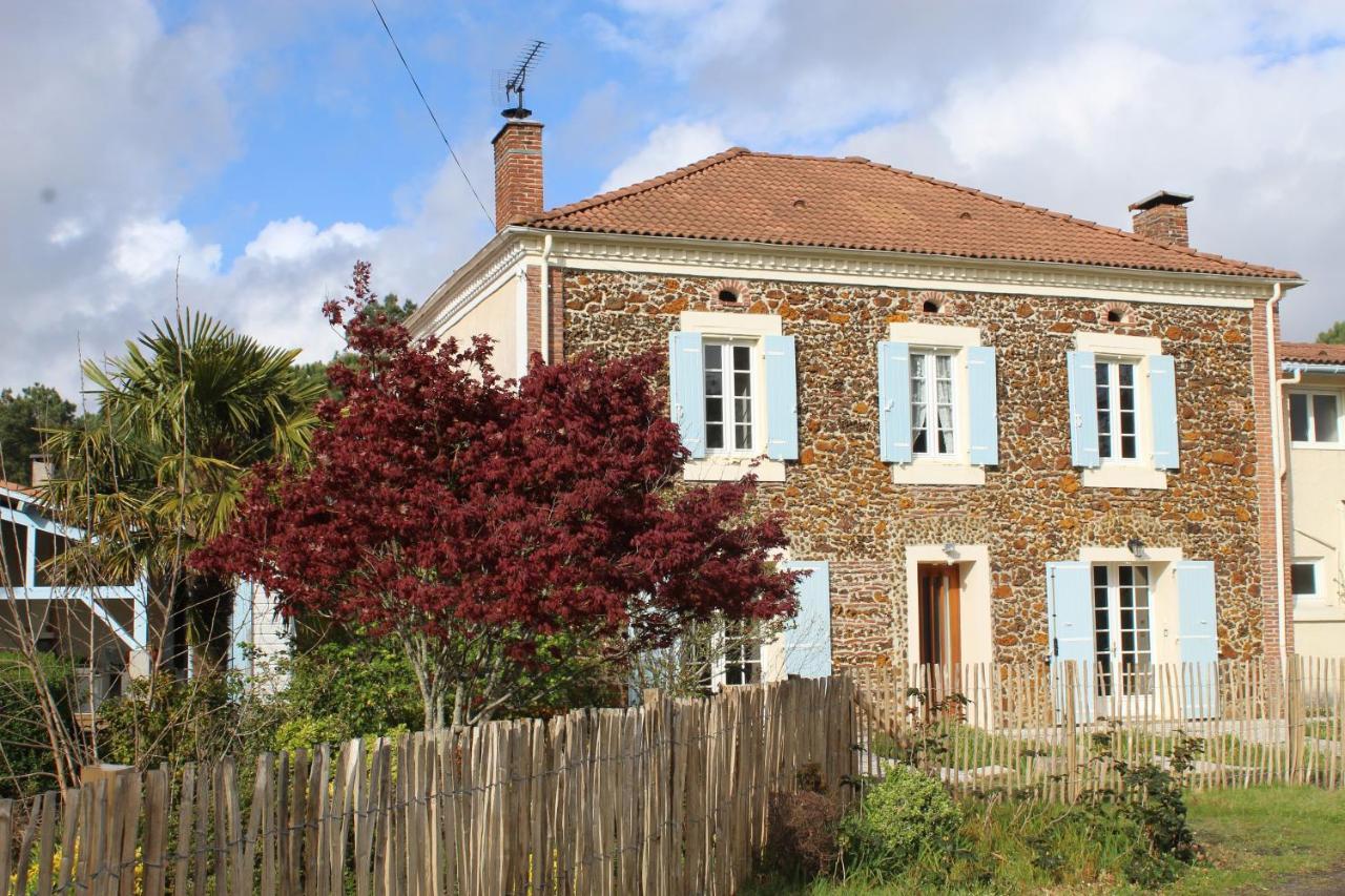 La Pinede Du Cheou, Piscine, Logement Independant, Parking, Draps, Wifi Fibre Mimizan Esterno foto